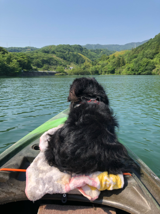 今年はまだ釣れてません。いやぁ、なんでだろ？&#128517;_d0004101_21543677.jpg