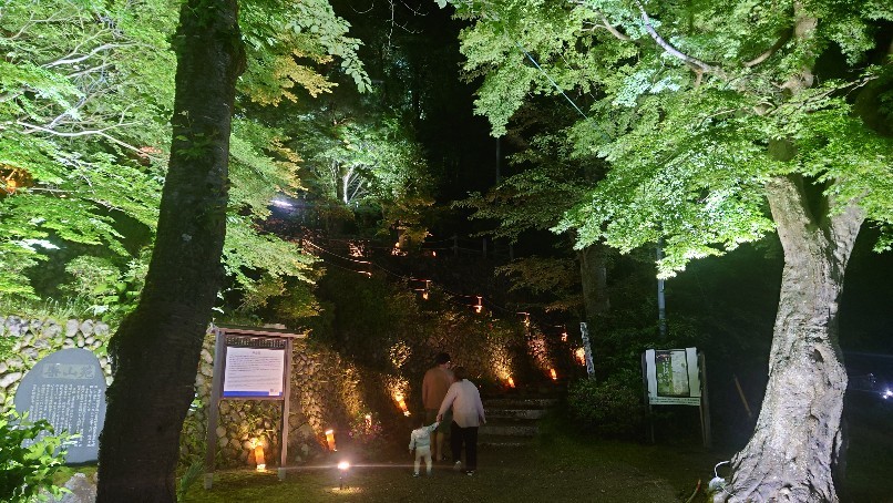 楽山苑ライトアップ_b0237229_21354992.jpg