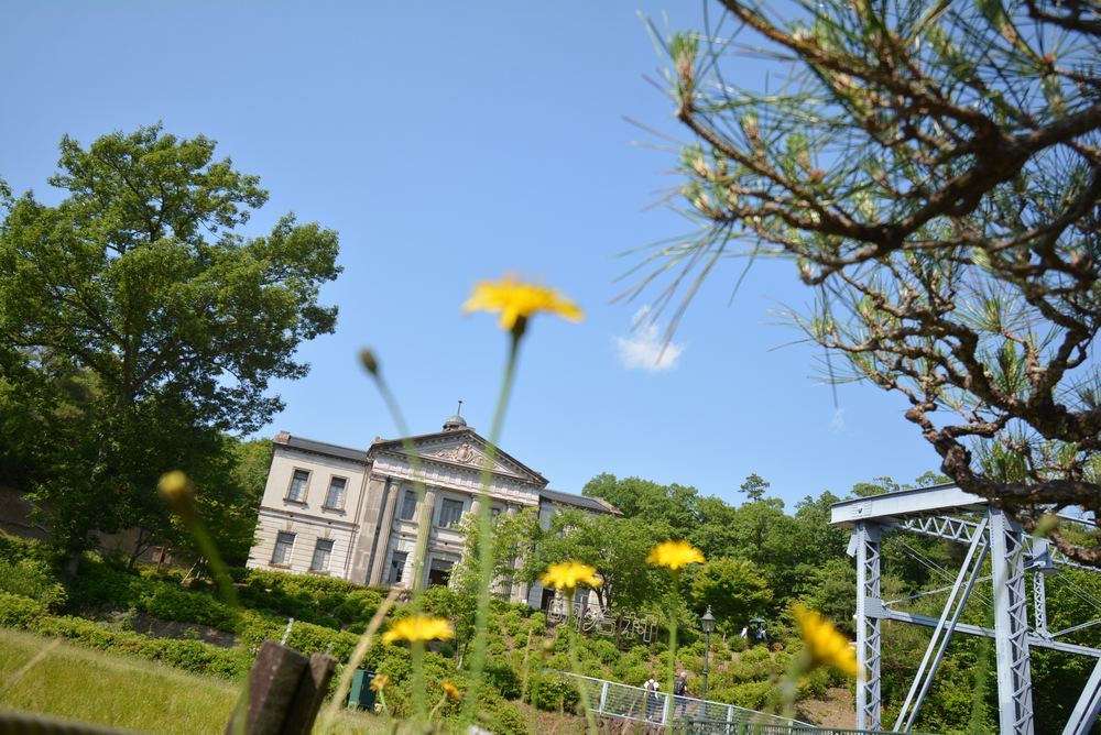 5丁目 帝国ホテル前の花たち_e0373930_19403537.jpg
