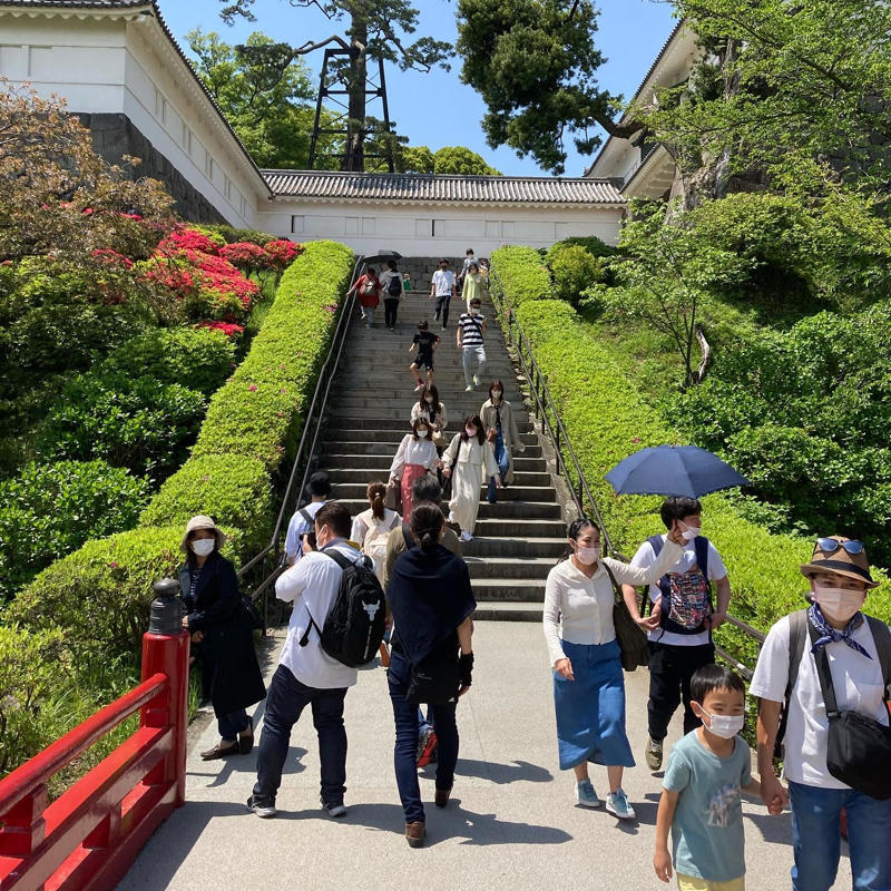東京エクストリームウォーク100の下見は小田原城から_c0060143_09160193.jpg