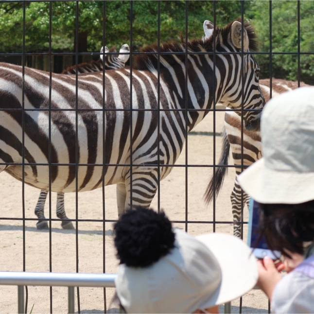 動物園の新しい楽しみ方_a0151356_21033583.jpeg