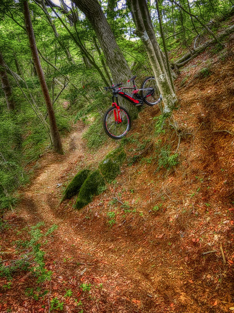 eMTB style II_b0049658_21044190.jpg