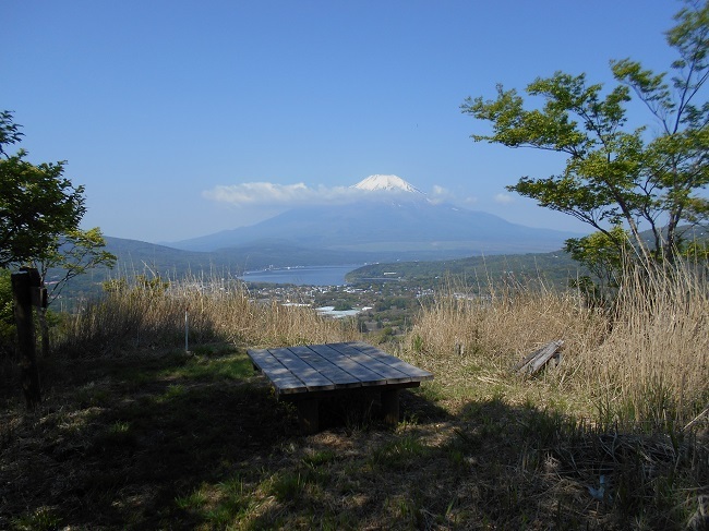 新緑の高指山から富士岬平へ_d0153860_08271464.jpg