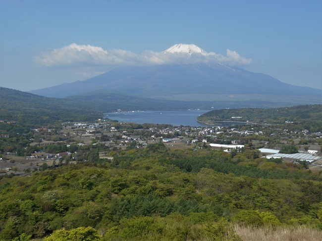 新緑の高指山から富士岬平へ_d0153860_08272487.jpg