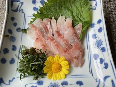 メジナ またはグレ の焼き霜造り しゃぶしゃぶ 昆布締め やせっぽちソプラノのキッチン2 メジナ またはグレ の焼き霜造り しゃぶしゃぶ 昆布締め やせっぽちソプラノのキッチン2
