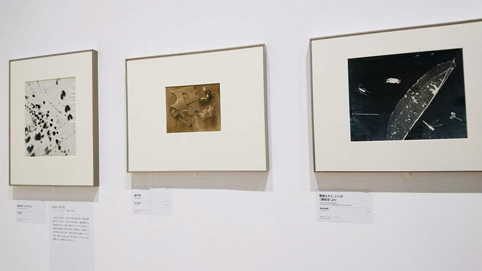 Avant-Garde Photography_e0209299_17585419.jpg