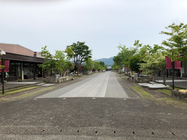 バイクで佐賀まで行ってきた_f0126903_14563355.jpg