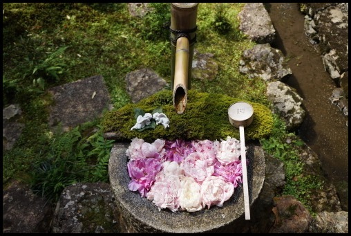 栁谷観音(楊谷寺)_d0024438_20352425.jpg