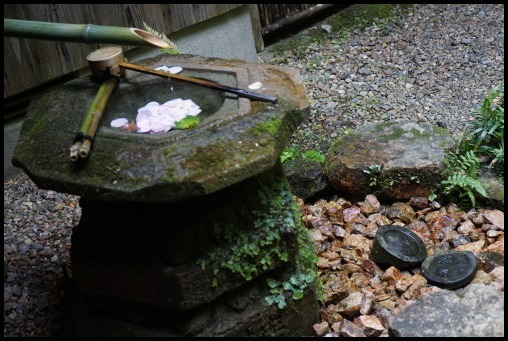 栁谷観音(楊谷寺)_d0024438_20385279.jpg