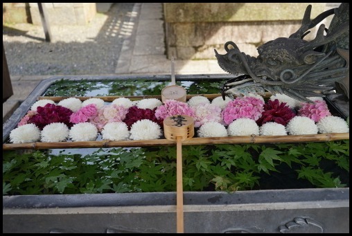 栁谷観音(楊谷寺)_d0024438_20441906.jpg