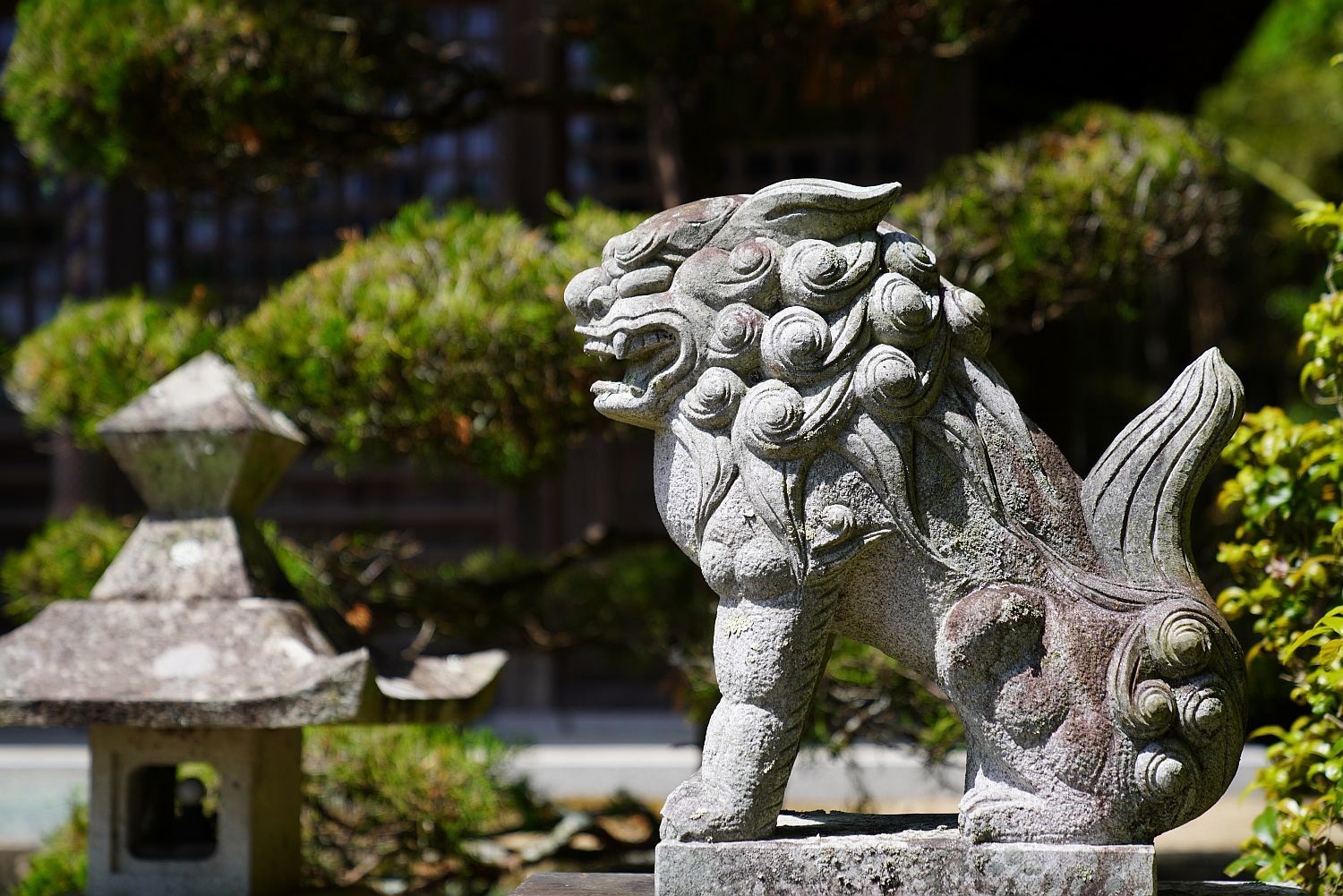 【重要文化財|豊歳神社 本殿】 行き方、見学のしかた (神戸市)_b0212342_08472764.jpg