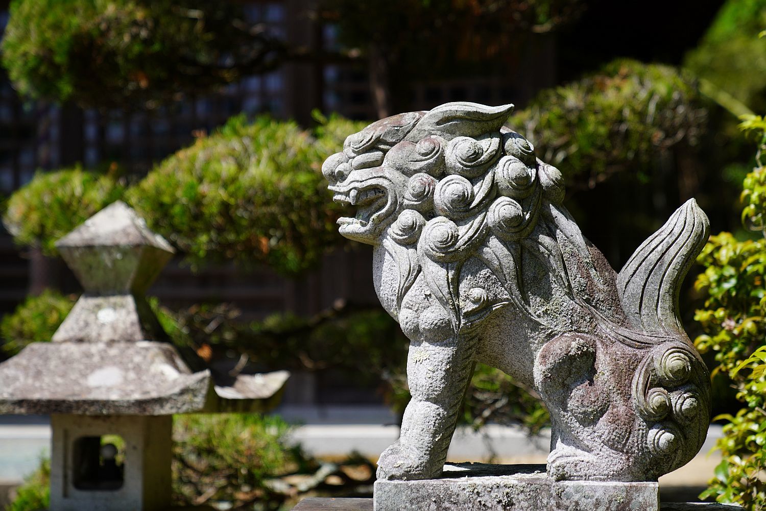 【重要文化財｜豊歳神社 本殿】　行き方、見学のしかた　（神戸市）_b0212342_08472764.jpg