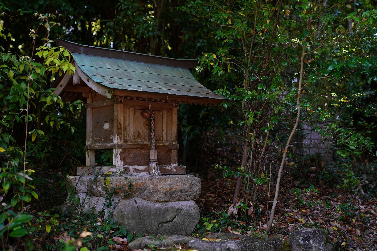 【重要文化財｜豊歳神社 本殿】　行き方、見学のしかた　（神戸市）_b0212342_08493422.jpg