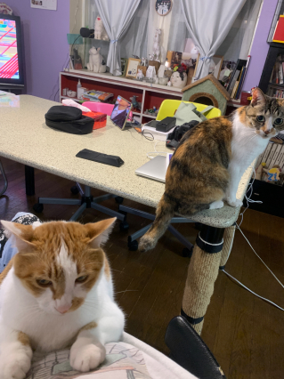 ヤキモチ_a0028451_19114736.jpg