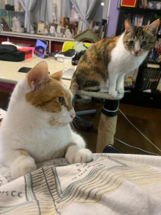 ヤキモチ_a0028451_19121117.jpg