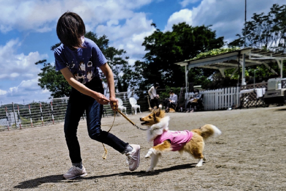 5.22 TWINKLE FARM ファミリー会_a0139367_13241106.jpg
