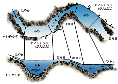 棚田カード 山形県 旧カード全15種セットやまがたの棚田 棚田