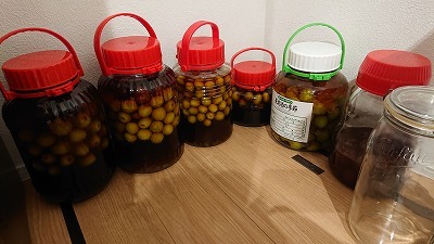 あ、そうだ。梅酒を作ろう!_d0176392_19181631.jpg