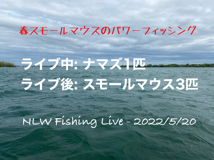 NLW Fishing Live - 2022/5/20 - 春スモールマウスのパワーフィッシング_d0145899_13183628.jpeg