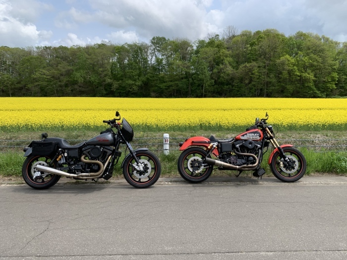 安平町 菜の花畑ツーリング ウエスティー 味な店 ハーレー日記
