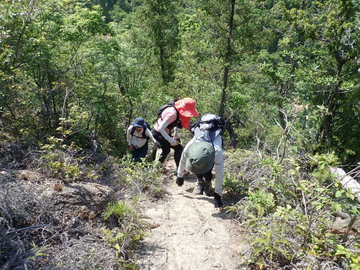 鎌倉寺山登山周回（南登山口ー鎌倉寺山南峯ー槍ヶ峰ー権兵衛山ー鎌倉寺山ー牛岩登山口）_c0116915_00120726.jpg