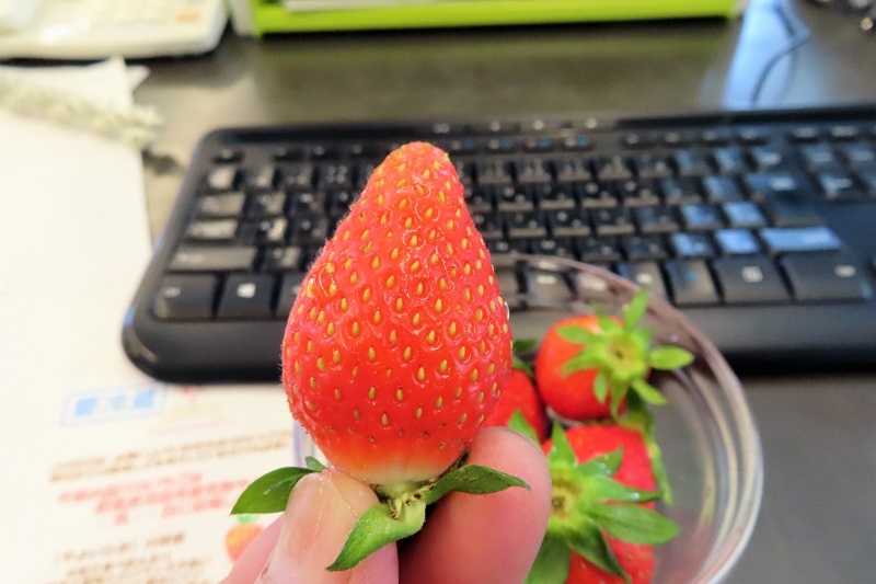 チャレンジ_f0076731_20282598.jpeg
