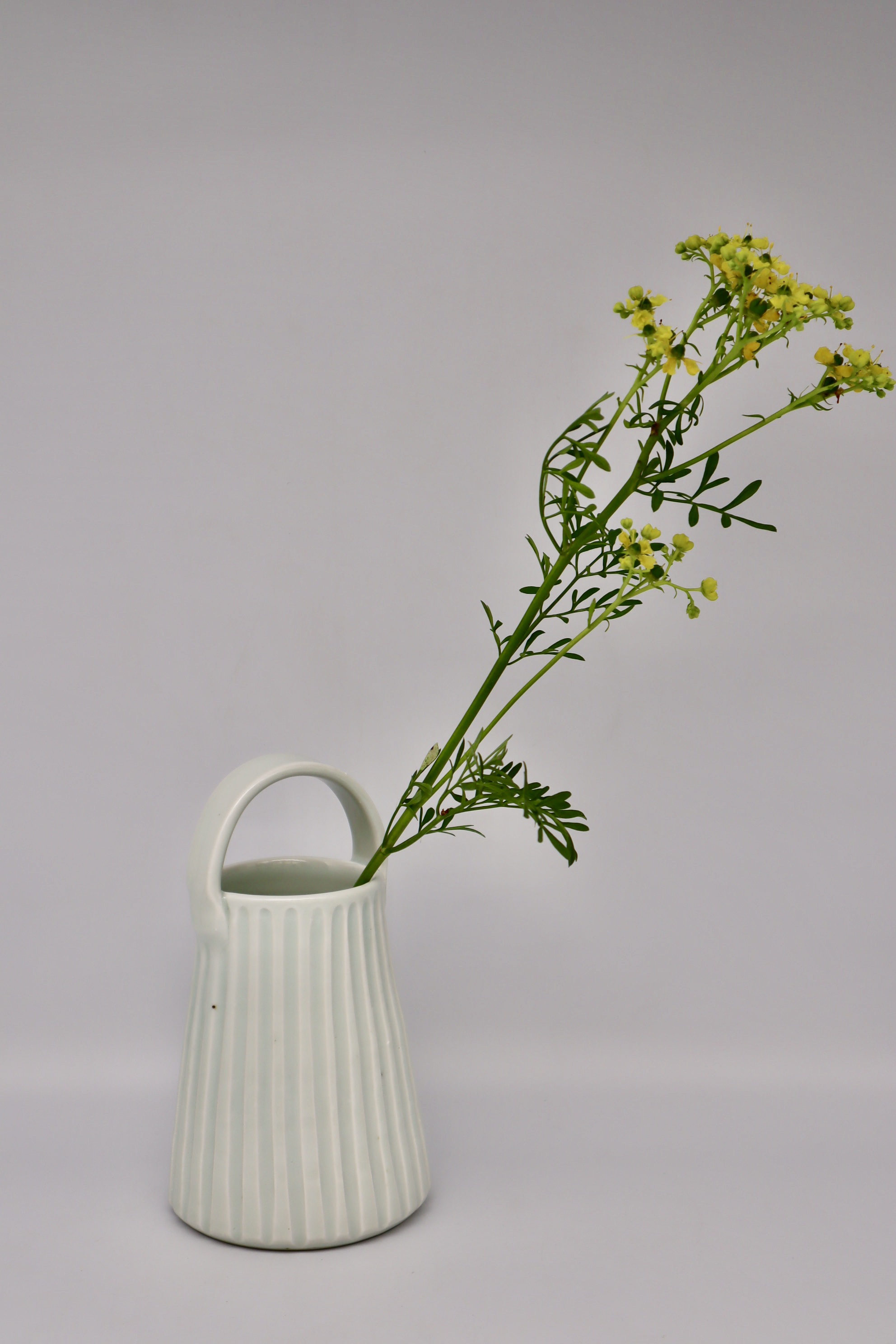 山口利枝 磁器のうつわ展_b0132442_15014685.jpeg