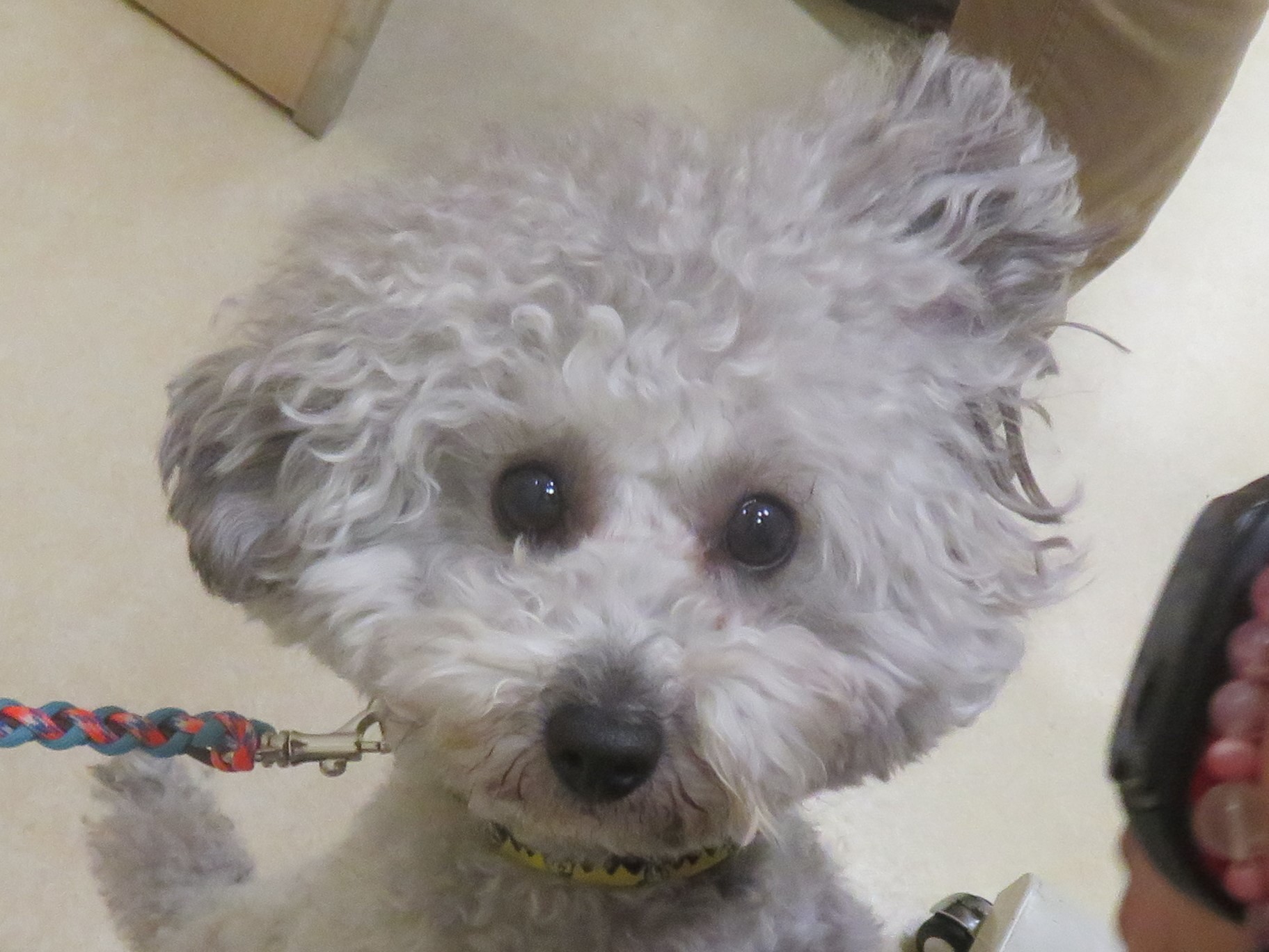 5 月 24 日の写真_c0174644_20515838.jpg
