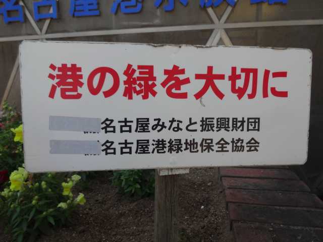 ガーデンふ頭総合案内所前花壇の植替えR4.5.23_d0338682_08571913.jpg