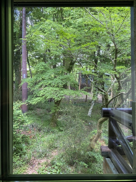 2022年５月２４日　木漏れびの定義_b0098584_20222532.jpeg