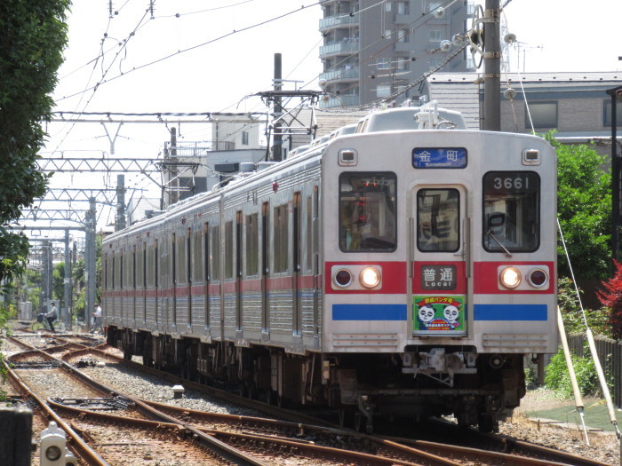 京成３６６８Ｆ「京成パンダ号」＠金町線_c0360684_21354047.jpg