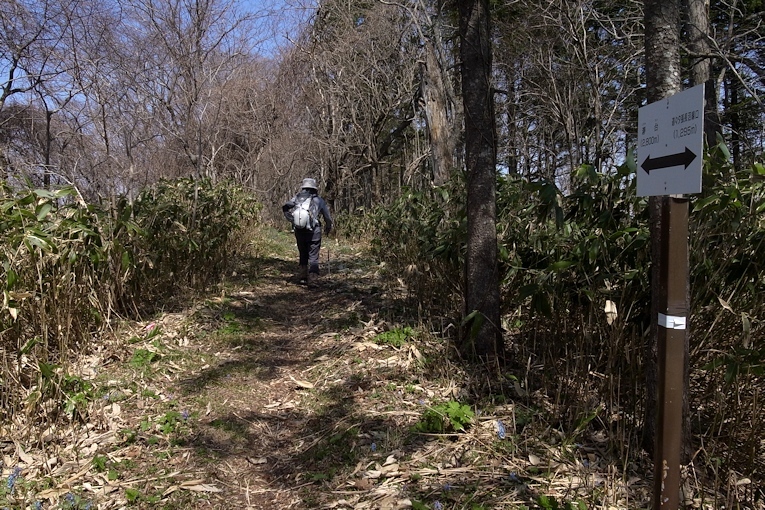 馬追山（Ｇ～瀞台）_a0270291_18231669.jpg