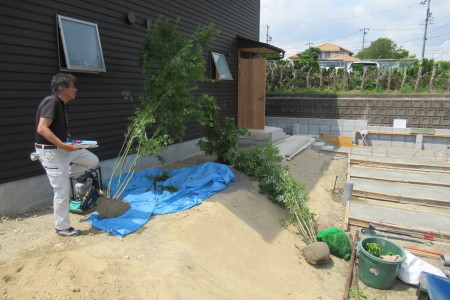 「蓮花寺の家」植栽工事_b0179213_17264304.jpg