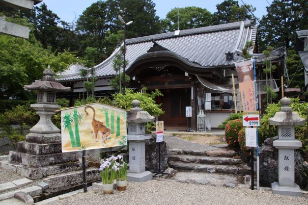 麦秋満喫　大津市堅田_e0048413_19533167.jpg