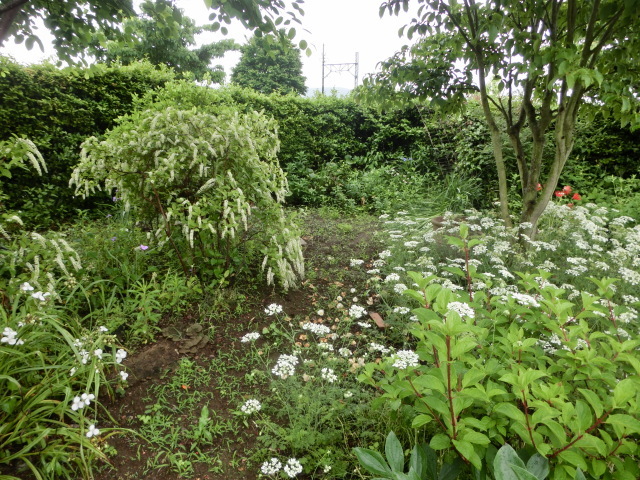 梅雨近し_e0390829_21402753.jpg