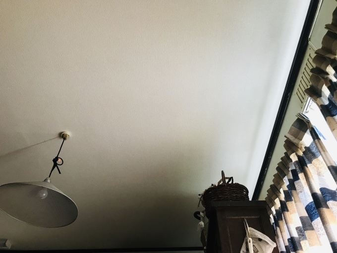 久し振りにギックリ腰_d0101846_19190871.jpeg