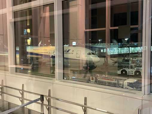 ハワイひとり慰安旅② JALハワイ便_b0228252_19500540.jpg
