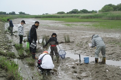 ５／２１長良川下流域環境観察会－２_f0197754_16580504.jpg