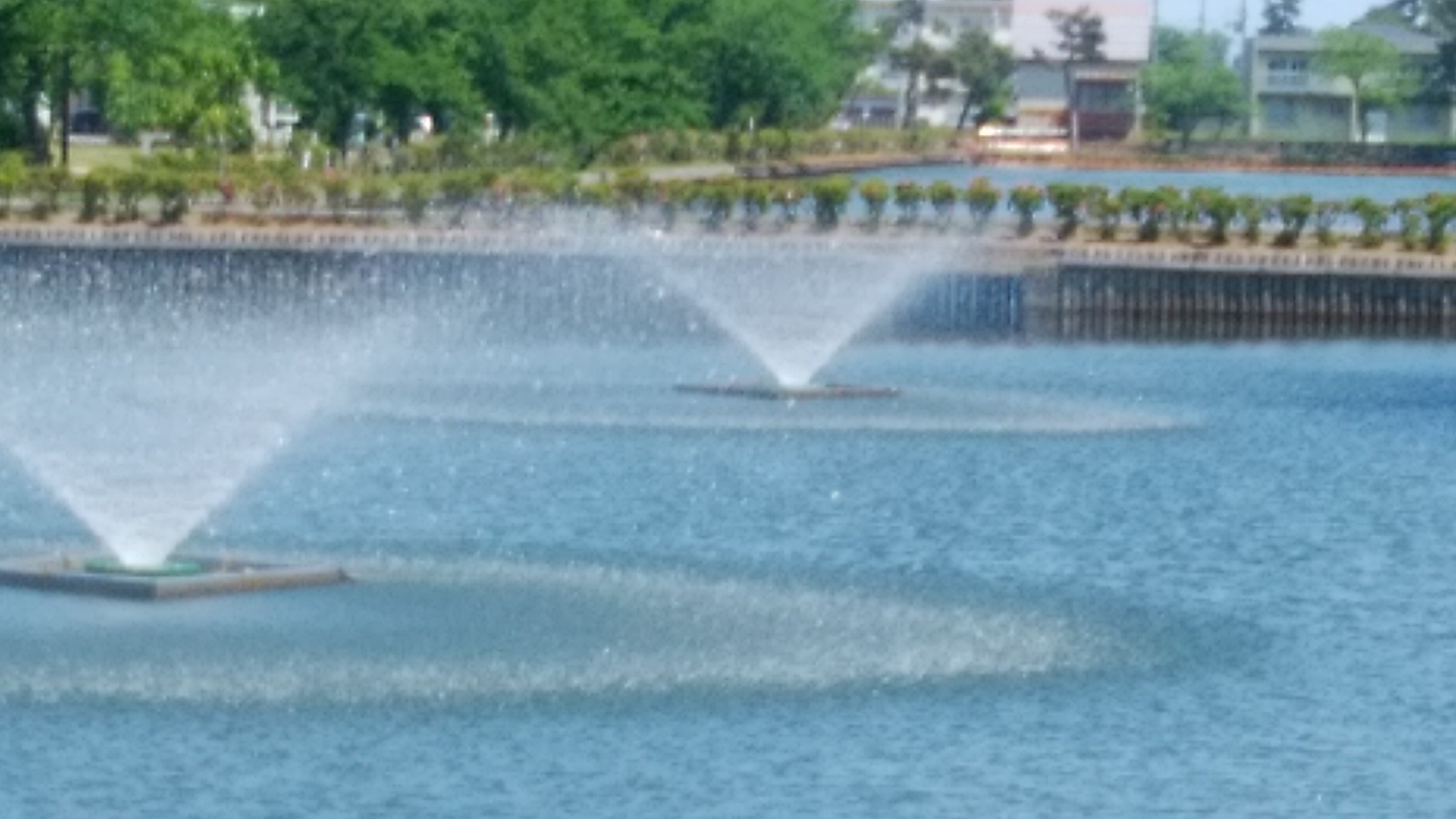 5/25 新緑の高田城址公園、一年で一番のくつろぎの場_b0161371_16254079.jpg