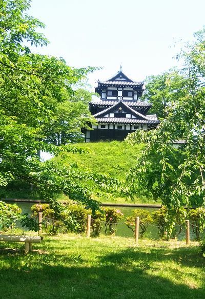 5/25 新緑の高田城址公園、一年で一番のくつろぎの場_b0161371_16281164.jpg