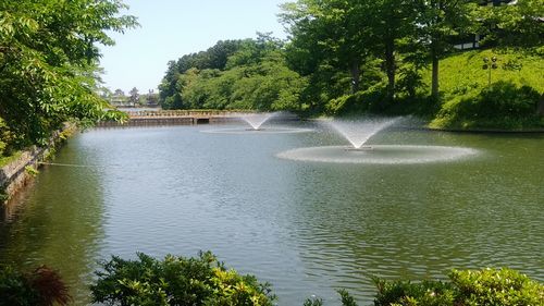 5/25  新緑の高田城址公園、一年で一番のくつろぎの場_b0161371_16285543.jpg
