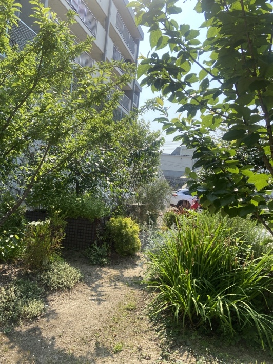 水やり当番(watering duty)_d0327373_15401740.jpeg