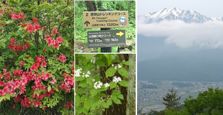鷹狩山 登山コース_a0212730_21012665.jpg
