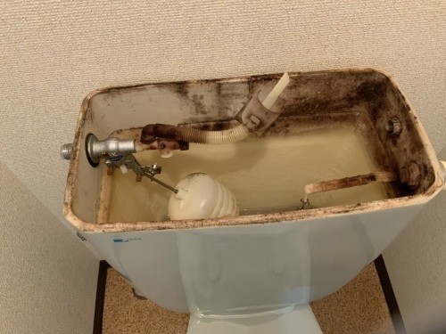 4日目・・・超ハードだった。(T_T)_f0031037_19525616.jpg