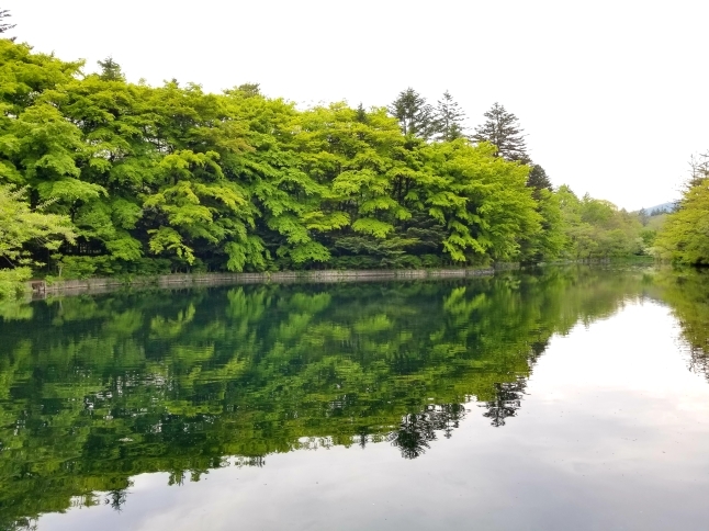 雲場池 ＊ 輝く新緑の水鏡♪_f0236260_09035289.jpg