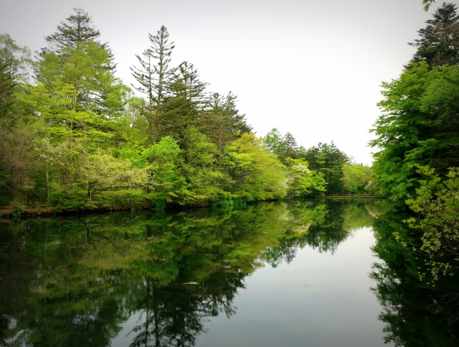 雲場池 ＊ 輝く新緑の水鏡♪_f0236260_09205963.jpg