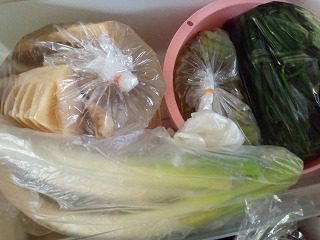 野菜高騰問題を打破_c0248067_16303237.jpg