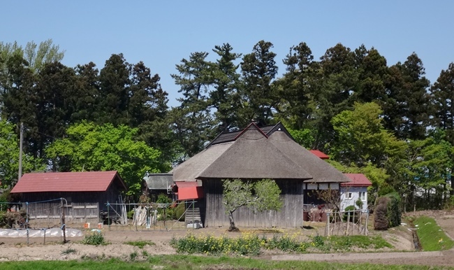 岩木山と田んぼや茅葺民家など春の景色_a0136293_14453278.jpg