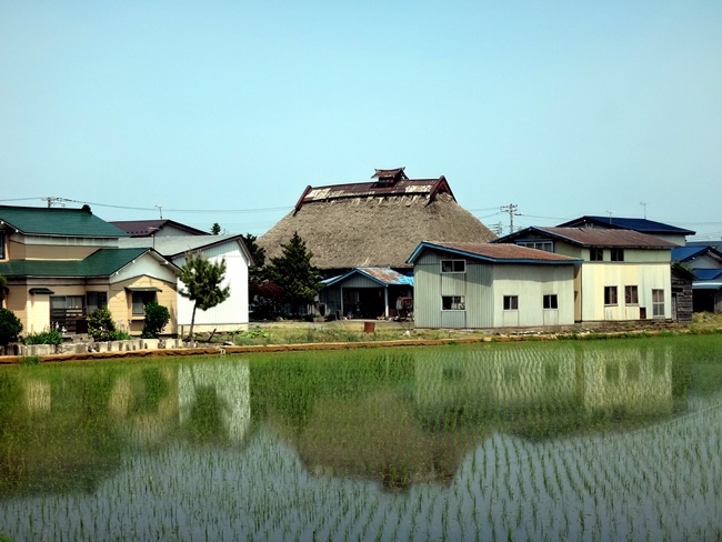 岩木山と田んぼや茅葺民家など春の景色_a0136293_15173880.jpg