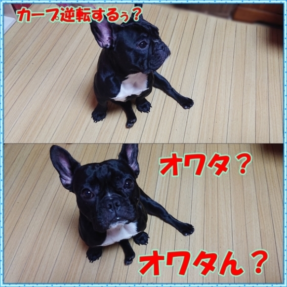 野手も士気がさがるわ!_a0390693_22224697.jpg